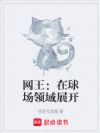 网王:在球场领域展开